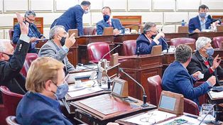 El Senado respaldó la participación del gobernador en las tratativas