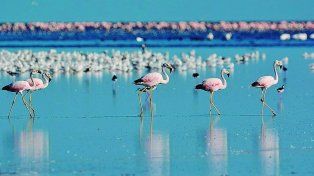 También conocido como Laguna Mar Chiquita, es un gran lago salado en el noreste de Córdoba.