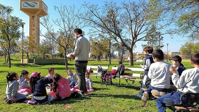 Imágenes del Picnic ediciones 2018 y 2019.