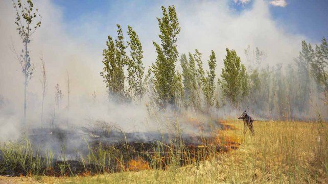 Bomberos