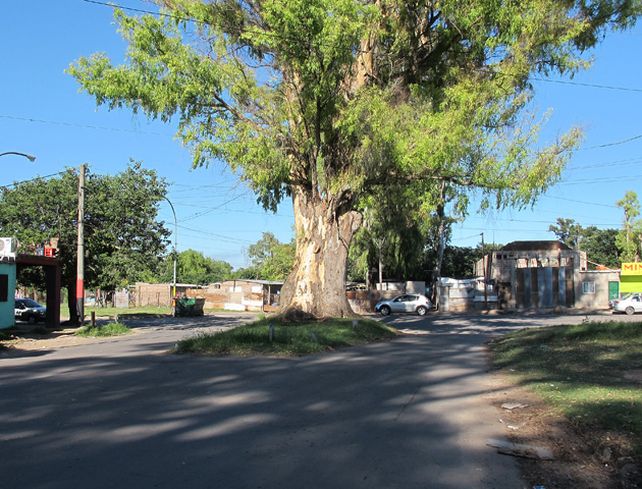 Avellaneda y Lamadrid