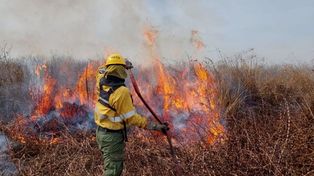 El gobernador Bordet cruzó a Cabandié por los incendios: Debería hablar menos y trabajar más