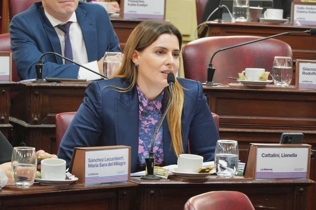 La diputada socialista Lionella Cattalini, presidenta de la comisi&oacute;n bicameral de Acuerdos.&nbsp;