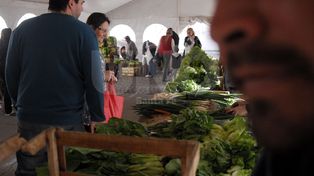 La Verdecita: abrió la gran feria del productor al consumidor
