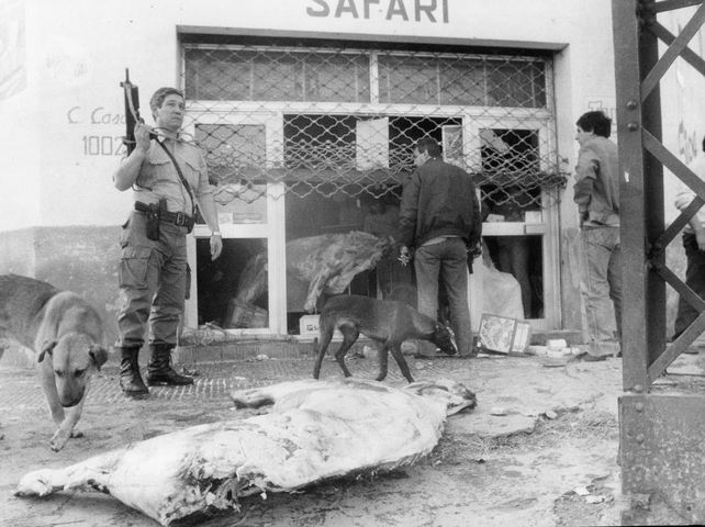 SAQUEOS 1989