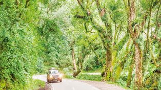 El Parque Nacional El Rey: una joya natural y silenciosa en el corazón de Salta