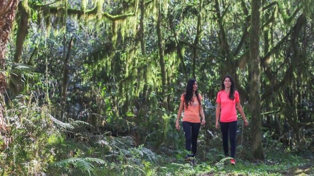 El sur tucumano: naturaleza, riqueza cultural y campeonato de la empanada
