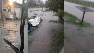 En Bovril cayeron 80 milímetros: hay viviendas inundadas y calles anegadas&nbsp;