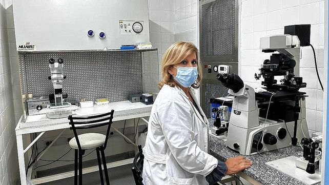 Su elección de ser madres en la era de la Medicina Reproductiva personalizada y la genética reproductiva