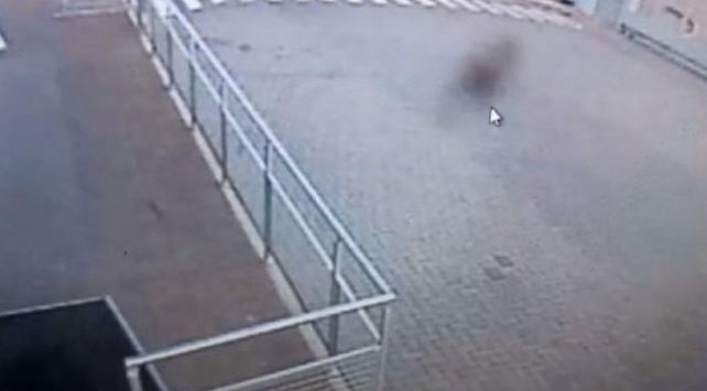perro fantasma