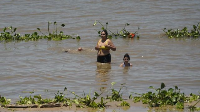 El año arrancó en Rosario con playas tapizadas de camalotes y el calor al límite