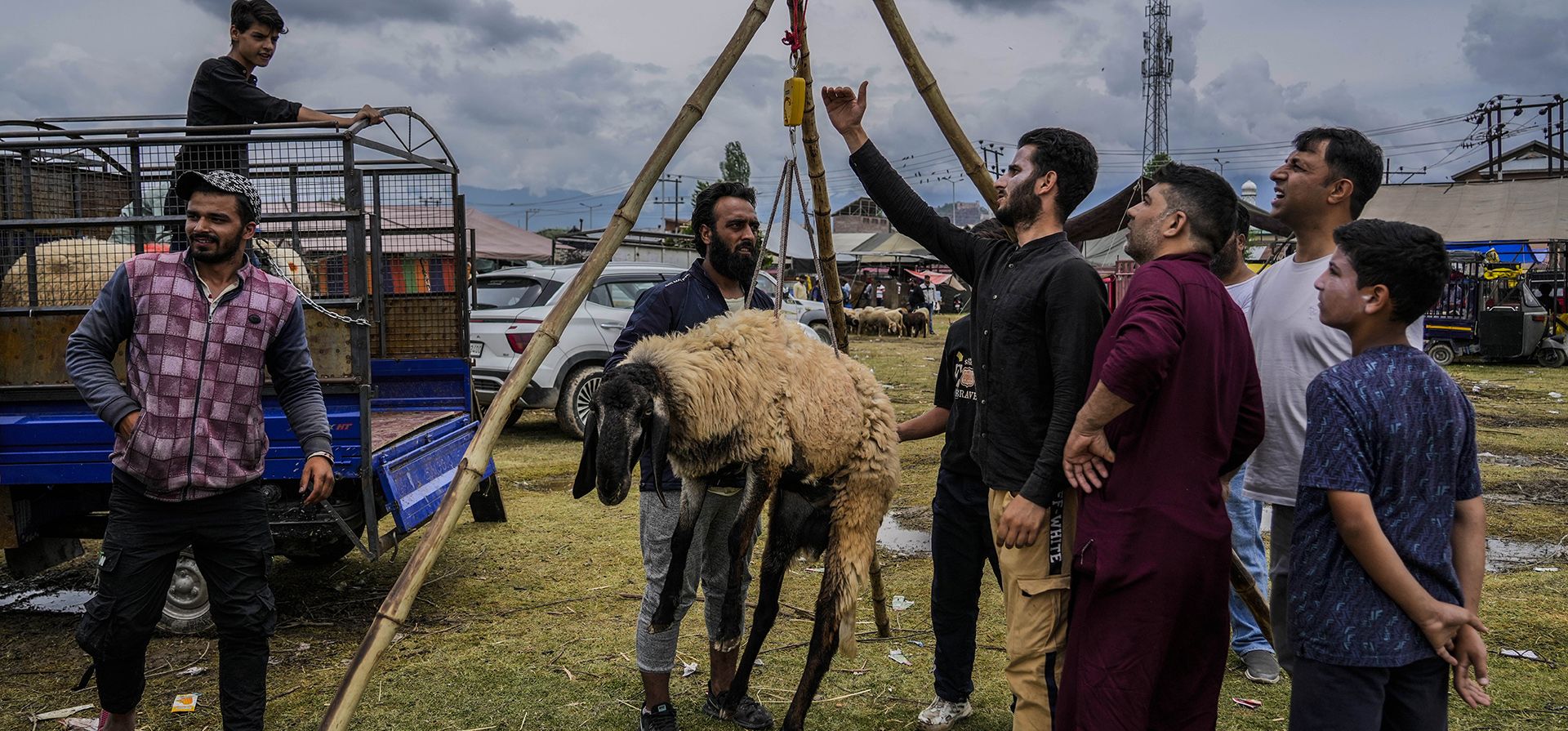 Pastores cachemires pesan una oveja antes de comprarla en un mercado de ganado abierto antes del festival Eid-al-Adha en Srinagar, Cachemira india, el lunes 26 de junio de 2023. (Foto AP/Mukhtar Khan) Pastores cachemires pesan una oveja antes de comprarla en un mercado de ganado abierto antes del festival Eid-al-Adha en Srinagar, Cachemira india, el lunes 26 de junio de 2023. (Foto AP/Mukhtar Khan)