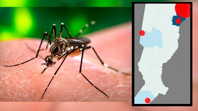 En una semana se duplicaron los casos de dengue y ya son cuatro las localidades con infectados en la provincia