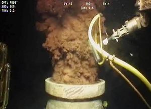 El derrame de crudo de 2010 en el golfo de México dejó serias secuelas