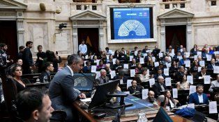 Cámara de diputados. El caso de la periodista y de la militante que atacó la casa de Espert llegan al recinto