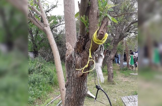 El lugar en dónde la mujer dejó al animal colgado.&nbsp;