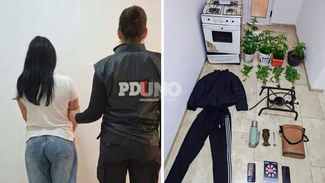 Robo investigado. Allanan vivienda en San Justo y detienen a mujer de 26 años.