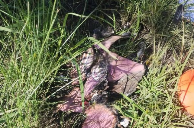 Hallaron una valija y ropa calcinada en el barrio Emerenciano Sena y analizan si pertenecen a Cecilia Strzyzowski