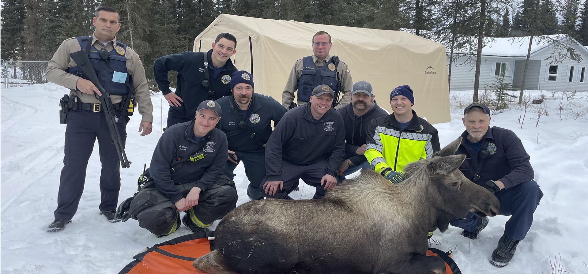 Bomberos de los Servicios Centrales de Emergencia con personal de Alaska Wildlife Troopers y el Departamento de Pesca y Caza de Alaska posan con un alce que ayudaron a rescatar después de que se cayera por una ventana en una casa en Soldotna, Alaska, el domingo 20 de noviembre de 2022. El alce fue tranquilizado y sacado de la casa en una camilla, revivido y soltado de nuevo en la naturaleza.