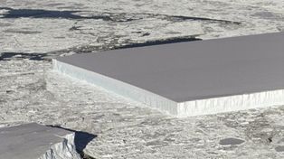Sorprendente iceberg rectangular captado por en la Antártida