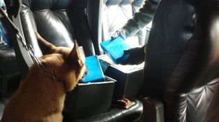 Secuestraron en un micro en Ceres 25 kilos de cocaína escondidos en cajas