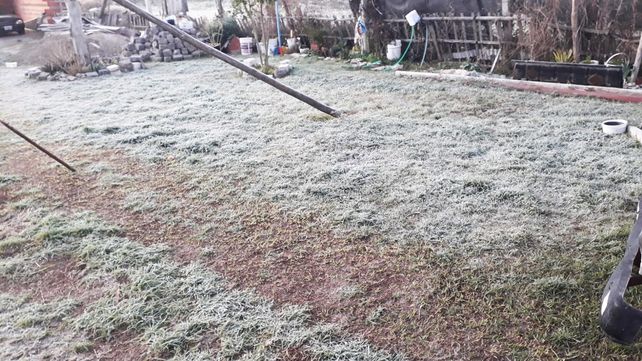 Heladas. La semana iniciará muy fría