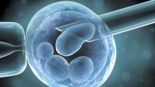 Inglaterra permitirá la concepción in vitro con la donación de dos madres y un padre