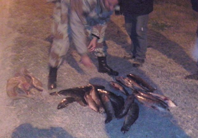 Operativo. Los miembros de la Brigada Abigeato de Diamante en el momento de la confiscación.