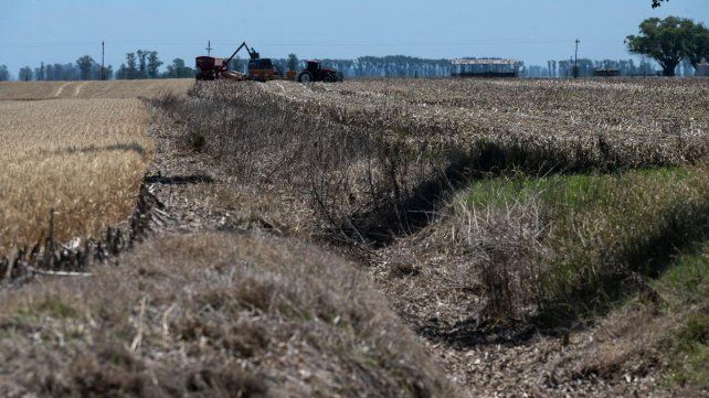 Advierten sobre un probable regreso de La Niña en la segunda mitad del año Advierten sobre un probable regreso de La Niña en la segunda mitad del año