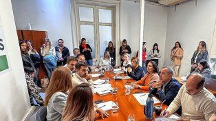 Los diputados proyectan la creación de fiscalías ambientales en Paraná y en Gualeguaychú.