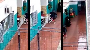 Santafesinos relatan cómo se vive en Nueva Zelanda después de la masacre
