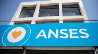 La web de Anses habilitó el asistente virtual Tina