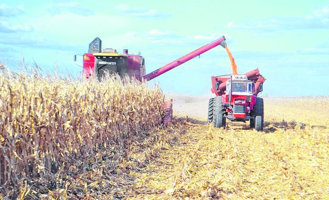 Un 74% de los productores piensa que su situación será mejor que la actual