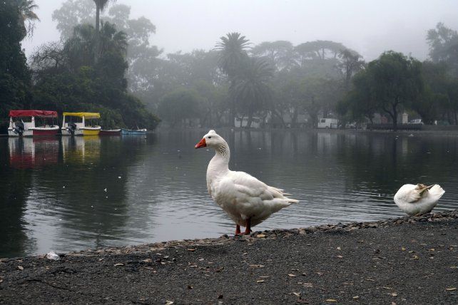 El tiempo en Rosario: viernes con neblina y algunas nubes desde la mañana