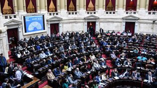 La Cámara de Diputados convocó para el próximo miércoles a una sesión especial en la que se discutirán varios de los vetos del presidente Javier Milei.