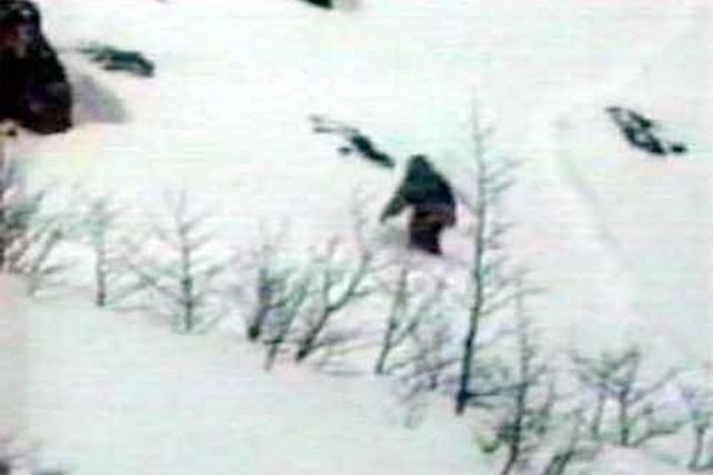 Científicos afirman tener pruebas de que el Yeti existe en un video