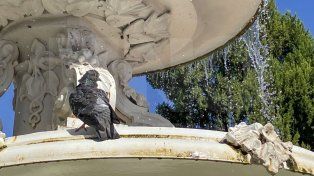Martes con temperaturas primaverales: la máxima será de 27 grados