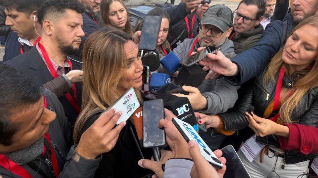 amalia-granata-convencion-constituyentejpg