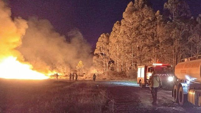 Los incendios forestales en enero quemaron más de 500 hectáreas en Concordia.