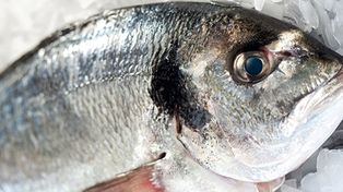 Semana Santa: recomendaciones a la hora de consumir pescados