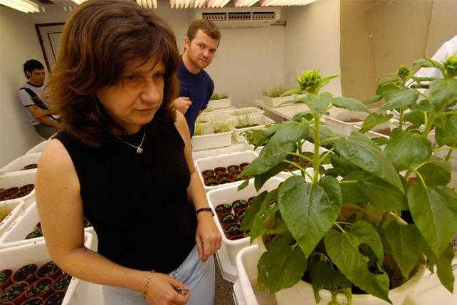 “La provincia tiene un potencial científico enorme”, dijo una investigadora del Conicet