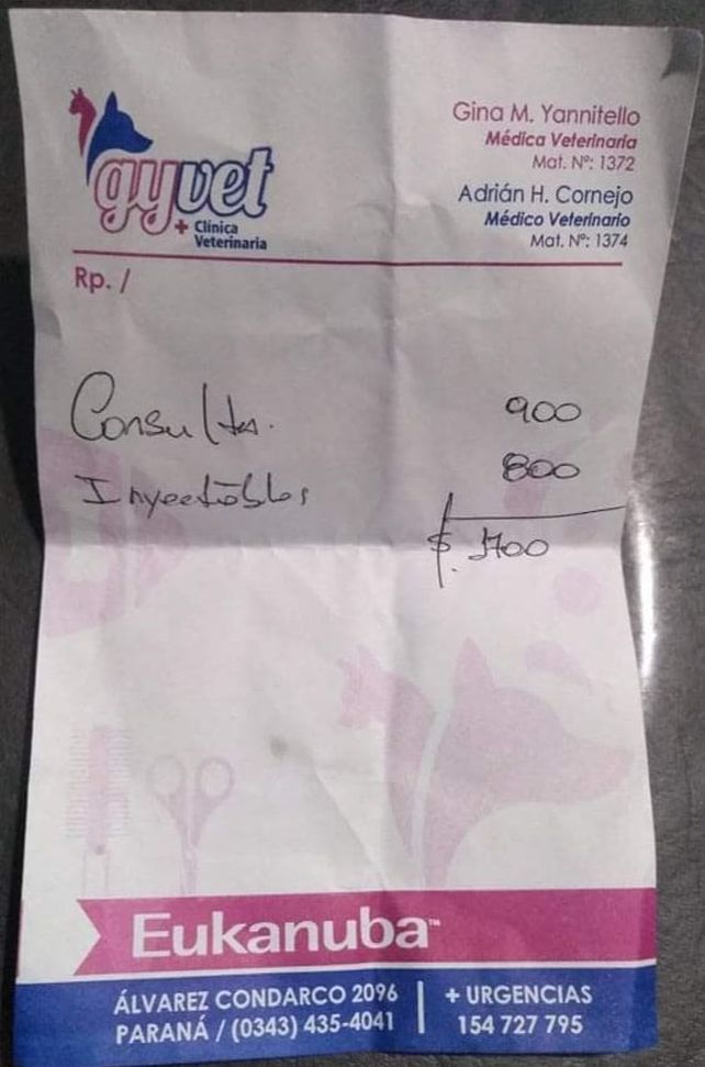 Vittori aseguró que a él como director y a su equipo de trabajo les duele lo