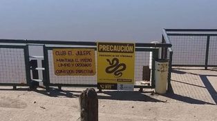 Un experto explica por qué aparecen serpientes en la costanera de Santo Tomé y qué hacer al encontrarlas