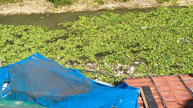 Siguen las denuncias en el arroyo Ludueña