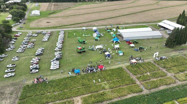 Agro: Más de 400 académicos y empresarios de la región buscan innovar en el manejo de malezas