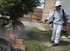 El gobierno nacional inicia una campaña contra el dengue