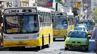 Piden información sobre el funcionamiento de 4 líneas de colectivos