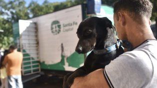 Las castraciones esta vez serán en barrio Sarmiento