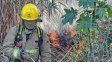 Bomberos instan a reforzar medidas para prevenir incendios