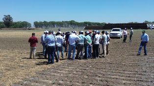 La agricultura regenerativa se hace fuerte en el interior productivo